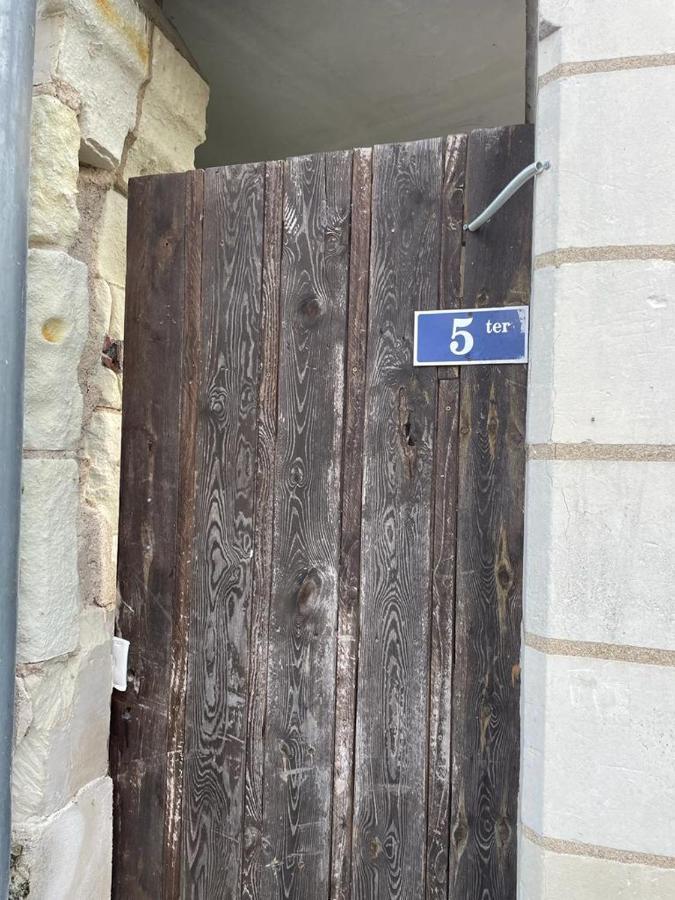 Ferienwohnung La Palme Bleue - 5 Mn Du Zooparc De Beauval Saint-Aignan  Exterior foto